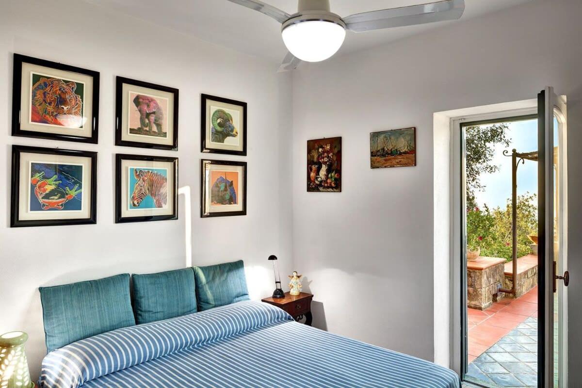 Fondo Turiello Villa Gardens Pool And Guest Services 马萨鲁布朗斯 外观 照片